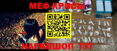 гашик Сланцы