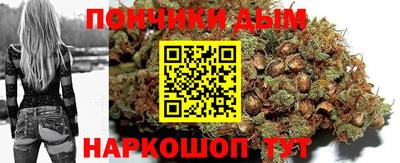 гашик Сланцы