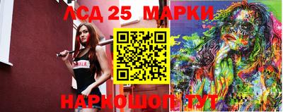 гашик Сланцы