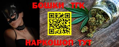 гашик Сланцы