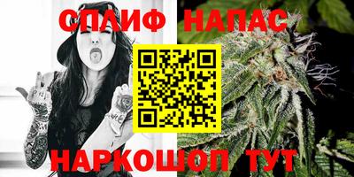 гашик Сланцы