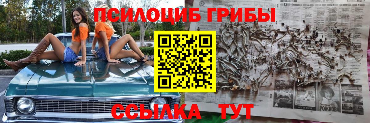 Галлюциногенные грибы Psilocybine cubensis  Вход с VPN  цена   Надым 