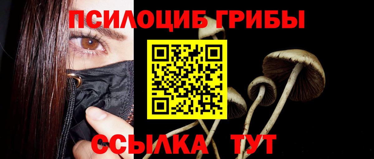 Галлюциногенные грибы GOLDEN TEACHER Надым